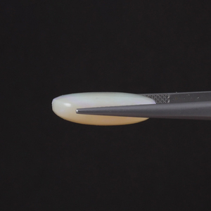 โอปอลธรรมชาติคุณภาพสูง รับรองโดย IGI สีขาว น้ำหนัก 9.81 กะรัต รูปทรงคุชชั่น ขนาด 19.5x13.5 มม. ขัดเงา ใช้น้ำมัน/แว็กซ์ ขนาด 6 มม. - Product Image 2