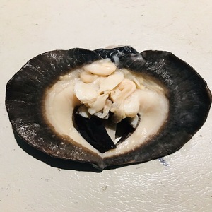 Caracoles Africanos Congelados Frescos de 5-8cm, Envasados al Vacío, Calidad Premium, Mariscos de Primera Elección para Familias y Restaurantes, Entrega Rápida, Venta al Por Mayor - Product Image 6