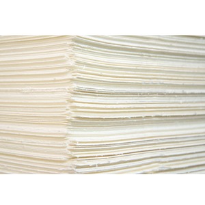 Pâte Kraft de bois dur blanchie haute luminosité disponible pour les usines de papier en gros et les fabricants de papier d'emballage - Product Image 4