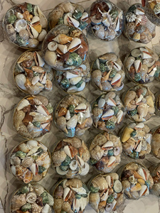 Sacs de coquillages naturels de forme réelle, aspect authentique |   Vente en gros d'artisanat de style plage et de décorations d'aquarium |   Fournisseur du Vietnam Ba Ria-Vung Tau - Product Image 4