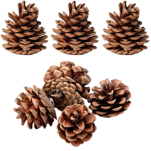 Pinecone ธรรมชาติในราคาขายส่งตกแต่งคริสต์มาสสำหรับห้องและงานเลี้ยง - Product Image 4