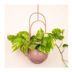 Pot de fleurs mural en métal, support de plantes décoratif pour la maison, balcon, patio, intérieur, extérieur, en fer, antirouille - Product Image 1