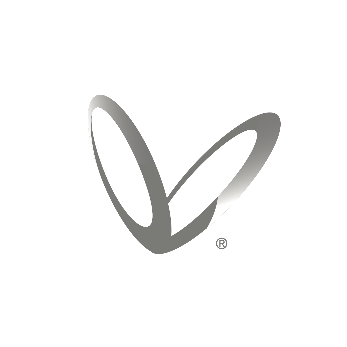 VIDYA SRL logo