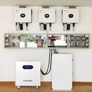 Mobiele zonne-opslagbatterij op wielen, 48V 200Ah 9.6kWh Lithium IJzer Fosfaat batterij, 10 jaar garantie voor thuisgebruik - Product Image 4