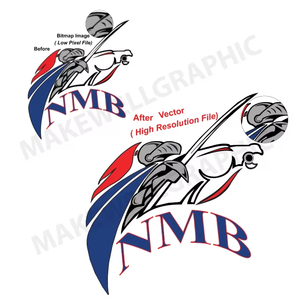 Uso Gráfico Efectivo en Diseño de Empaques y Creación de Logotipos para Calzado y Ropa con Servicio de Conversión de Bitmap a Vector - Product Image 1