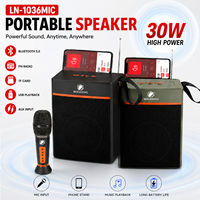 Altavoz Portátil LN-1036MIC con Entrada para Micrófono, Máquina de Karaoke de 30W, Soporte para Teléfono, Caja de Sonido Inalámbrica, Venta al Por Mayor
