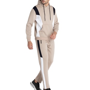Los Mejores Fabricantes Ofrecen Conjuntos Deportivos Casuales de Invierno para Hombre, 100% Algodón Felpa, Servicio OEM ODM Disponible - Product Image 6