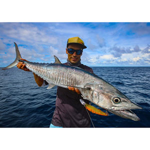 Pescado Congelado: Caballa - Product Image 5