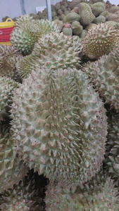 Durian surgelé IQF de haute qualité, entier et coupé, tropical, sucré et crémeux, prêt à l'exportation en vrac depuis le Vietnam - Product Image 4