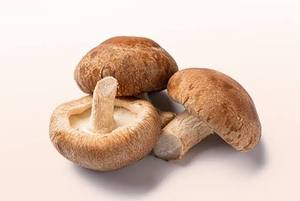 Hongos Shiitake Secos y Blanqueados Silvestres VIETDELTA Premium, Naturales, Saludables y Comestibles, 1 kg, Venta al por Mayor, Proveedor OEM ODM, 2 Años de Duración - Product Image 6