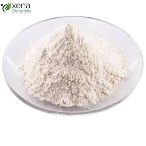 Fabricante OEM de Resveratrol en Polvo, Extracto de Planta, Antioxidante, Apoyo Celular, Proveedor de Marca Privada - Product Image 2
