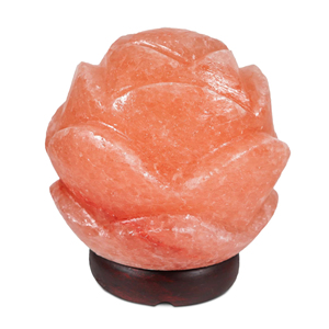 โคมไฟดอกเกลือสีชมพูขายดีที่สุดปี 2026 แบบขายส่ง ปรับแต่งได้ คุณภาพสูง ทำด้วยมือ สัมผัสเหมือนจริง งานฝีมือธรรมชาติ สำหรับตกแต่งห้อง งานแต่งงาน - Product Image 2