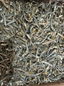 ปลาแอนโชวี่จากเวียดนาม ปี 2026 จัดส่งรวดเร็ว สำหรับทำซุปและแปรรูปเป็นขนม อาหารทะเลพรีเมียม ขายส่ง ปริมาณมาก ส่งออก - Product Image 1