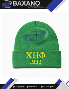 Gorro de Invierno de Punto de la Hermandad Chi Eta Phi, Verde y Amarillo, Bordado en 3D, Gorro de Invierno de Punto Premium - Product Image 4