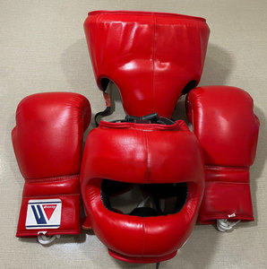 Set de Boxeo Profesional de Alta Calidad, Equipo de Entrenamiento Cómodo, Guantes de Cuero, Equipo de Protección para Entrenamiento de Boxeo en Gimnasio - Product Image 1