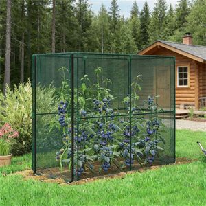Rete Protettiva Verde Spaziosa per Colture Alte da Giardino - Product Image 1