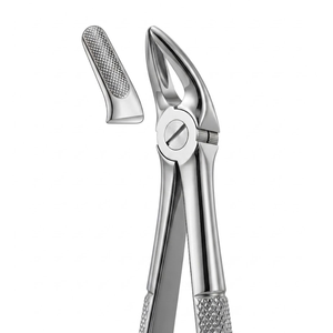 Pinzas de Extracción con Mango Adaptador |   Instrumentos Dentales Vitra de Acero Inoxidable de Primera Calidad - Product Image 1