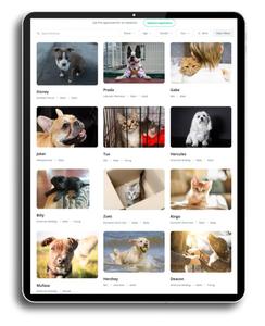 Plataforma de Adopción de Mascotas para Usuarios de MAC/Linux que Conecta Adoptantes, Refugios, Criadores y Dueños de Mascotas para una Adopción Segura y Fácil (En Stock) - Product Image 1