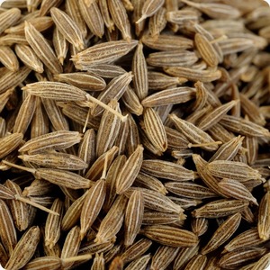 เมล็ดยี่หร่าบริสุทธิ์ 100% สำหรับการจัดหาส่วนผสมขายส่ง พร้อมกลิ่นหอมสดชื่นและคุณภาพคัดสรรอย่างพิถีพิถันเพื่อคุณภาพระดับพรีเมียม - Product Image 4