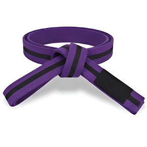 Cinturones de Taekwondo de Algodón con Diseño de Rayas de Color Personalizables, Cinturones de Karate de Doble Costura para Entrenamiento Avanzado, Ropa de Artes Marciales Unisex - Product Image 5