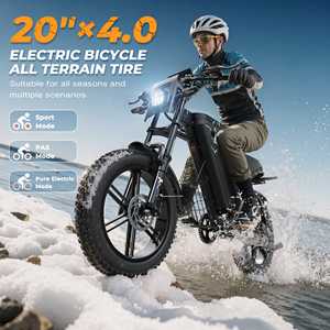 Vélo électrique tout-terrain pour homme, faible MOQ, stock UE, pneus larges 20 pouces, batterie lithium 48V - Product Image 2