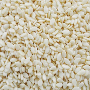 Semillas de Sésamo Blanco Peladas, Secas y Crudas, 100% Puras, de Primera Calidad, Auto Secas, Sortex 99.90% por Spicecentra - Product Image 1