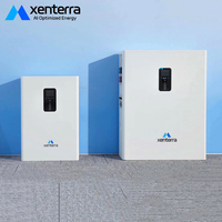 Pack de batteries solaires au lithium Xenterra 48V 100Ah 200Ah Lifepo4, montage mural