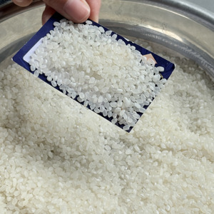 Fabricante de ARROZ JAPONÉS PARA SUSHI (Sin pesticidas) Para el mercado de la UE - Bolsas de PAPE BOPP de 1KG, 2KG, 5KG, 10KG Marca Privada (Joice) - Product Image 1
