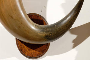 Cuerno Decorativo de Pared, Cuerno de Toro Vintage con Borde Plateado, Par de Cuernos de Búfalo Montados en Placa de Pared Vintage de la India - Product Image 4