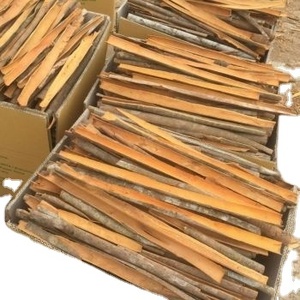 Cassia Yenbai de Vietnam de Alta Calidad, Mejor Precio para Procesamiento en Crudo, Excelente Sabor, 100% +84 35 254 2206 - Product Image 5
