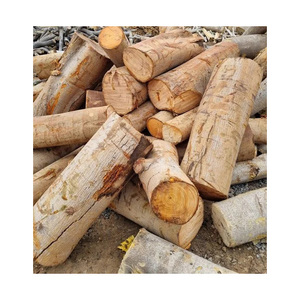 Bûches de bois tendres de haute qualité, poutres rondes de construction, bois massif naturel, parfaites pour les projets de construction, les meubles - Product Image 1