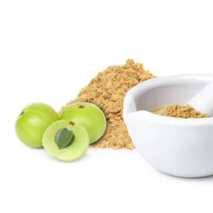 Poudre d'Amla indienne naturelle et fraîche (100 % pure) pour la distribution mondiale et les opportunités de marché de détail - Product Image 3