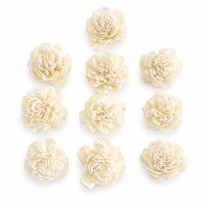 Flores de Sola Naturales Hechas a Mano de Primera Calidad AQUA VRIKSHA (Tamaño Pequeño) para Decoración del Hogar, Bodas y Manualidades - Product Image 3