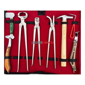 Kit d'outils de fermeur vétérinaire professionnel réutilisable, ensemble complet en acier inoxydable, marteau de fermeur, couteau à sabots, polisseur, 12 pinces à sabots - Product Image 1