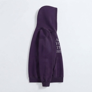 Fabricante OEM de Sudaderas con Capucha para Hombre, Tallas Grandes, Personalizadas, de Algodón, Estilo Hip-Hop, Forro Polar, Ecológicas, para Invierno - Product Image 3