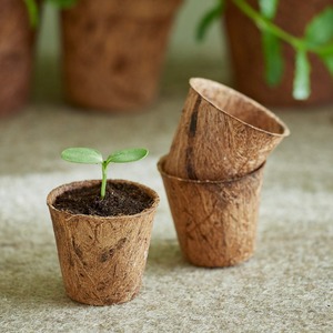 Pots à semis en fibre de coco écologiques pour système de culture hydroponique à faible coût - Product Image 2