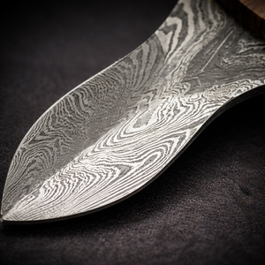 Damascus Steel Oyster Knife with Olive Wood Handle Handmade Shucking Knife Seafood <b>Tool</b> High Quality for Wholesale - Product Image 4