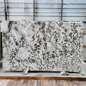 Export Quality polished modern White Exotic <b>Granite</b> for Airport, Railway Station, Hotel, Villa, Apartment, Office Building - Product Image 2