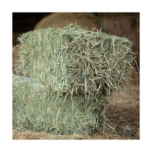หญ้าโรดส์คุณภาพพรีเมียม หญ้าแห้งสำหรับสัตว์ อาหารสัตว์ ขายส่ง - Product Image 1
