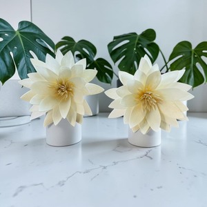 VADEE Premium Lotus Style Reed <b>Diffuser</b> <b>Flower</b> Sola Wood <b>Flowers</b> Sustainable Craft Handmade Seafoam Green Anemone 001 Phra - Product Image 4