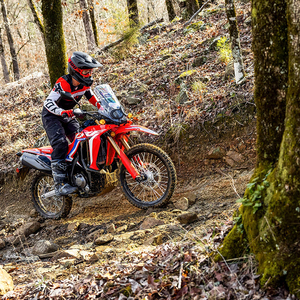 ฮอนด้า CRF 300L แรลลี่ ABS ปี 2026 - Product Image 4