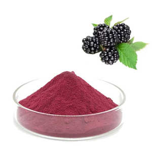 Polvo de Morera de Moda, Grado Alimenticio, Polvo de Morera Puro para Alimentos Funcionales, Superalimento Natural, Productos Nutricionales, Proveedor a Granel - Product Image 4