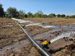 Tubería Plana de PE de 75 mm con Válvula para Sistema de Riego Automático Agrícola, Tubería de Riego para Campos Agrícolas - Product Image 2