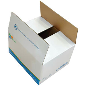Boîtes auto-érectiles en carton ondulé recyclable de 3 mm, personnalisées, matériaux recyclés, emballage avec logo imprimé, produits alimentaires et ménagers - Product Image 1