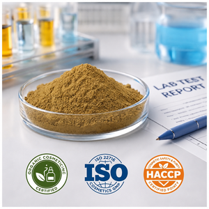 Extracto Natural de Jiwanti de Primera Calidad, Proveedor Mayorista, Fabricante y Exportador de la India - Product Image 5