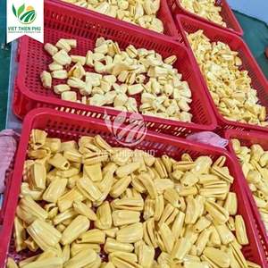 Jackfruit surgelé IQF du Vietnam, qualité alimentaire, fruit tropical pour l'exportation, vente en gros, approvisionnement en vrac - Product Image 6