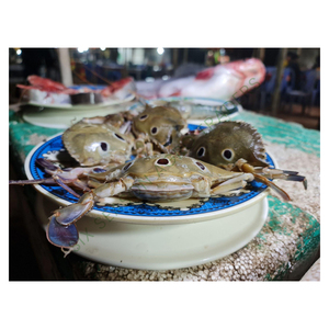 Natural Fresh Live Mud <b>Crab</b> Bulk Seafood Supply for Importers and Distributors Bangladesh Six Season Agro Mud <b>Crab</b> Manufacturer - Product Image 1