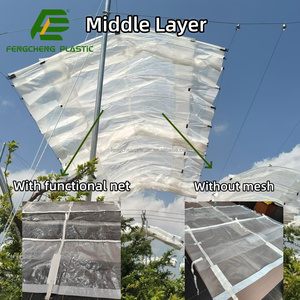 Structure résistante au vent et étanche pour les auvents agricoles, bâches en PE, protection contre la pluie pour cerisiers - Product Image 2