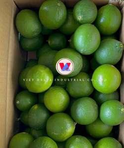 Limón Fresco Sin Semillas del Delta de Vietnam, Fruta Cítrica Orgánica de Calidad de Exportación/Ms. Kelly - Product Image 3