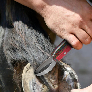 Couteau à double tranchant en acier inoxydable J2 pour le soin des sabots, avec manche en acier, outil polyvalent pour le soin des sabots de chevaux et de vaches - Product Image 5